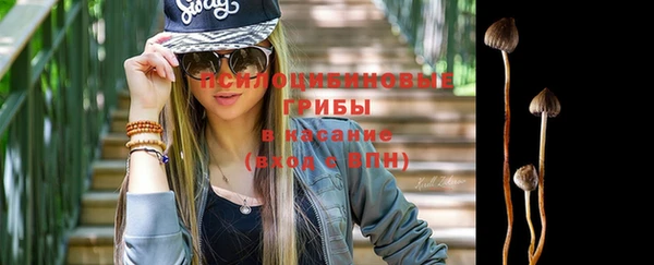 эйфоретик Алзамай