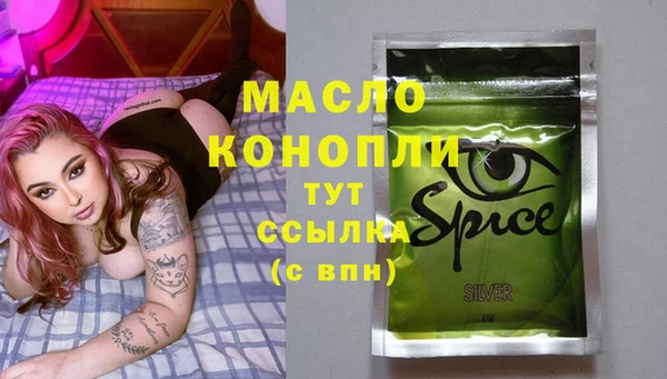 гашик Алексеевка