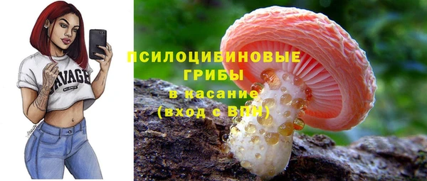 a pvp Абаза